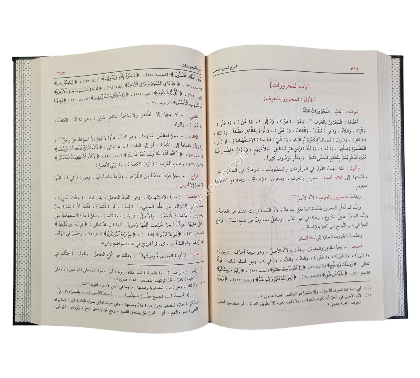 شرح شذور الذهب مع تعليقات منتقاة من محمد محي الدين عبد الحميد-الدقاق