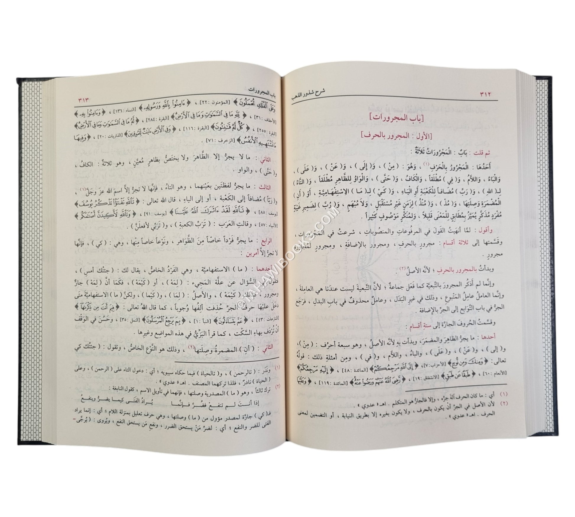 شرح شذور الذهب مع تعليقات منتقاة من محمد محي الدين عبد الحميد-الدقاق