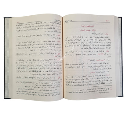 شرح شذور الذهب مع تعليقات منتقاة من محمد محي الدين عبد الحميد-الدقاق