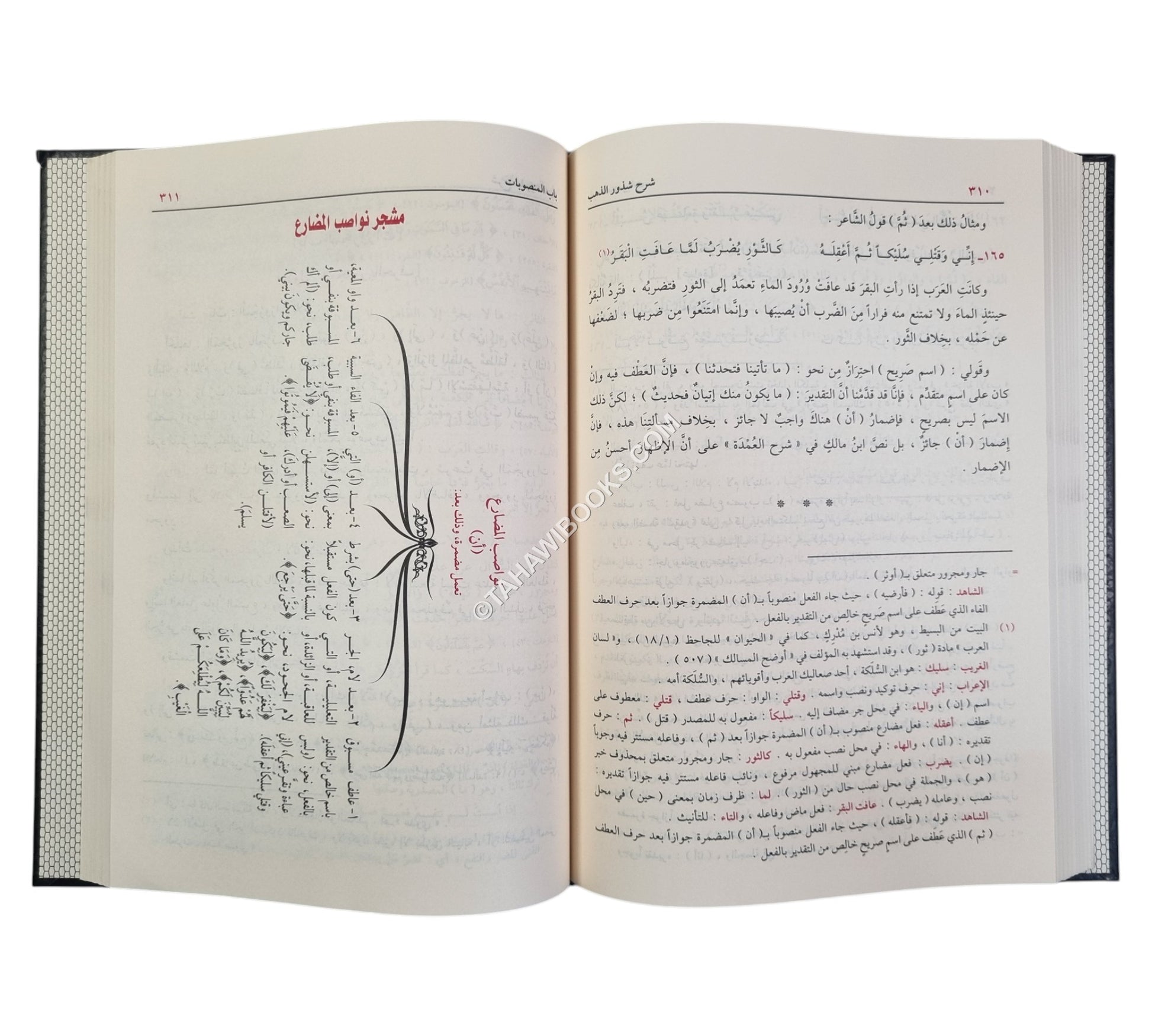 شرح شذور الذهب مع تعليقات منتقاة من محمد محي الدين عبد الحميد-الدقاق