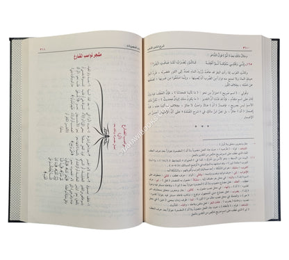 شرح شذور الذهب مع تعليقات منتقاة من محمد محي الدين عبد الحميد-الدقاق