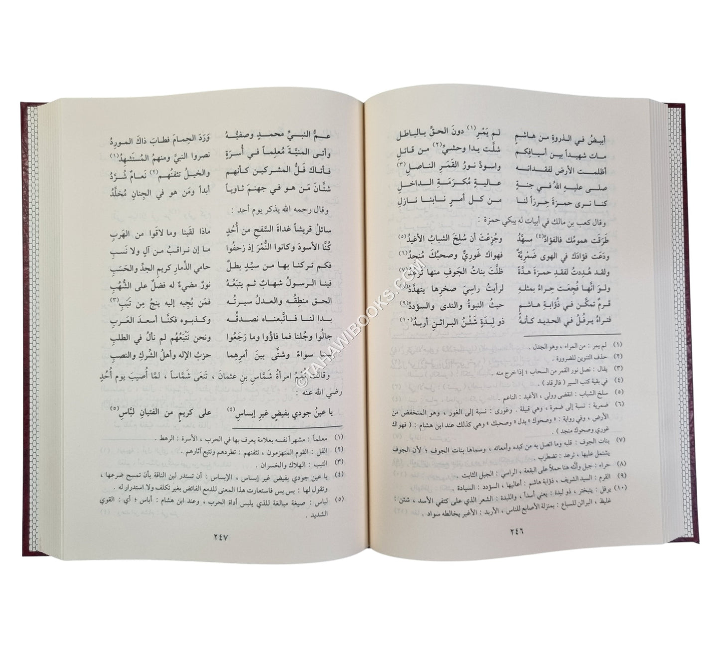 طيب الانفاس في مختصر سيرة ابن سيد الناس