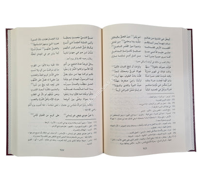 طيب الانفاس في مختصر سيرة ابن سيد الناس