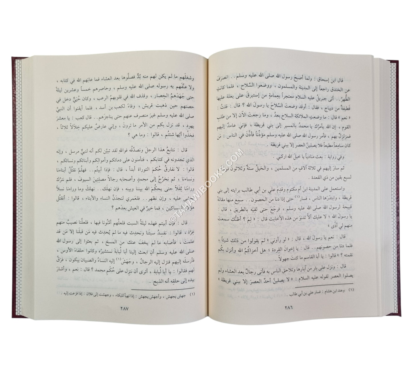 طيب الانفاس في مختصر سيرة ابن سيد الناس