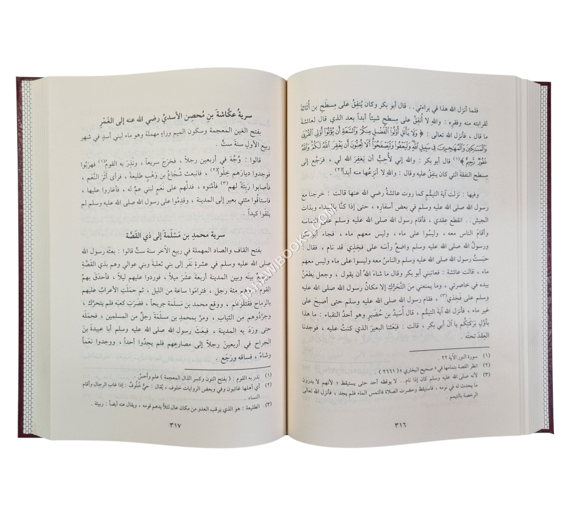 طيب الانفاس في مختصر سيرة ابن سيد الناس