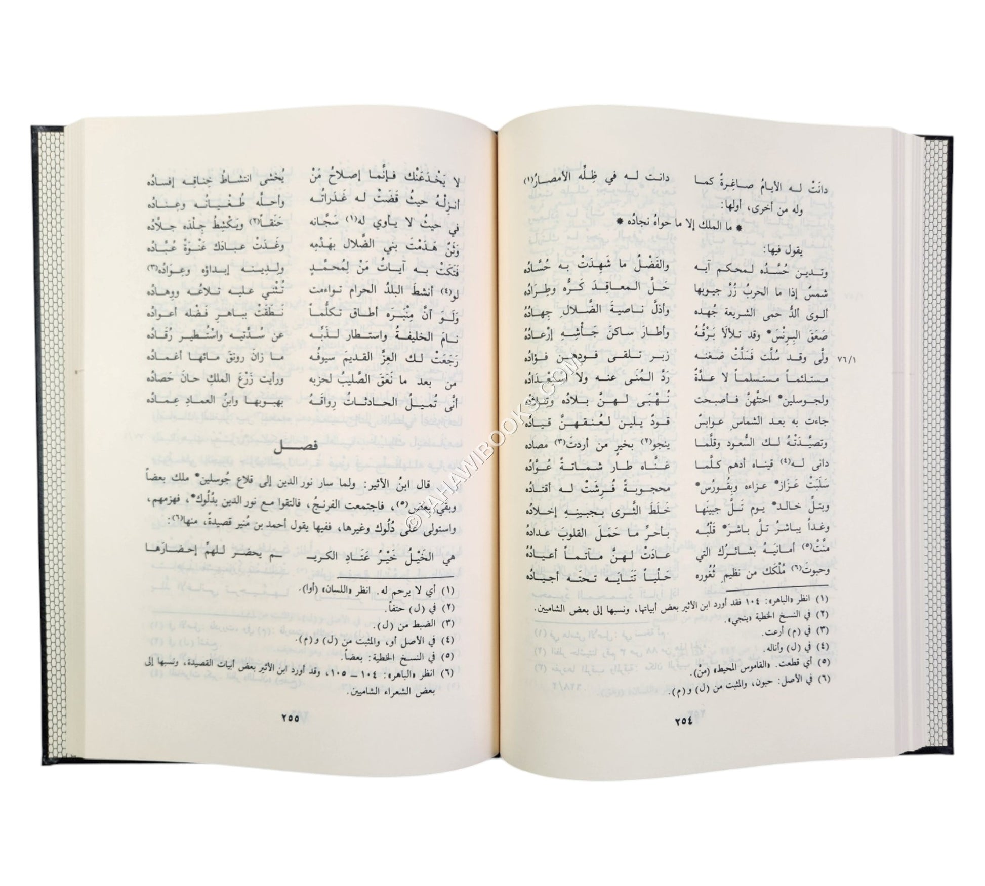 الروضتين في اخبار الدولتين