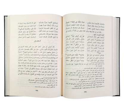 الروضتين في اخبار الدولتين