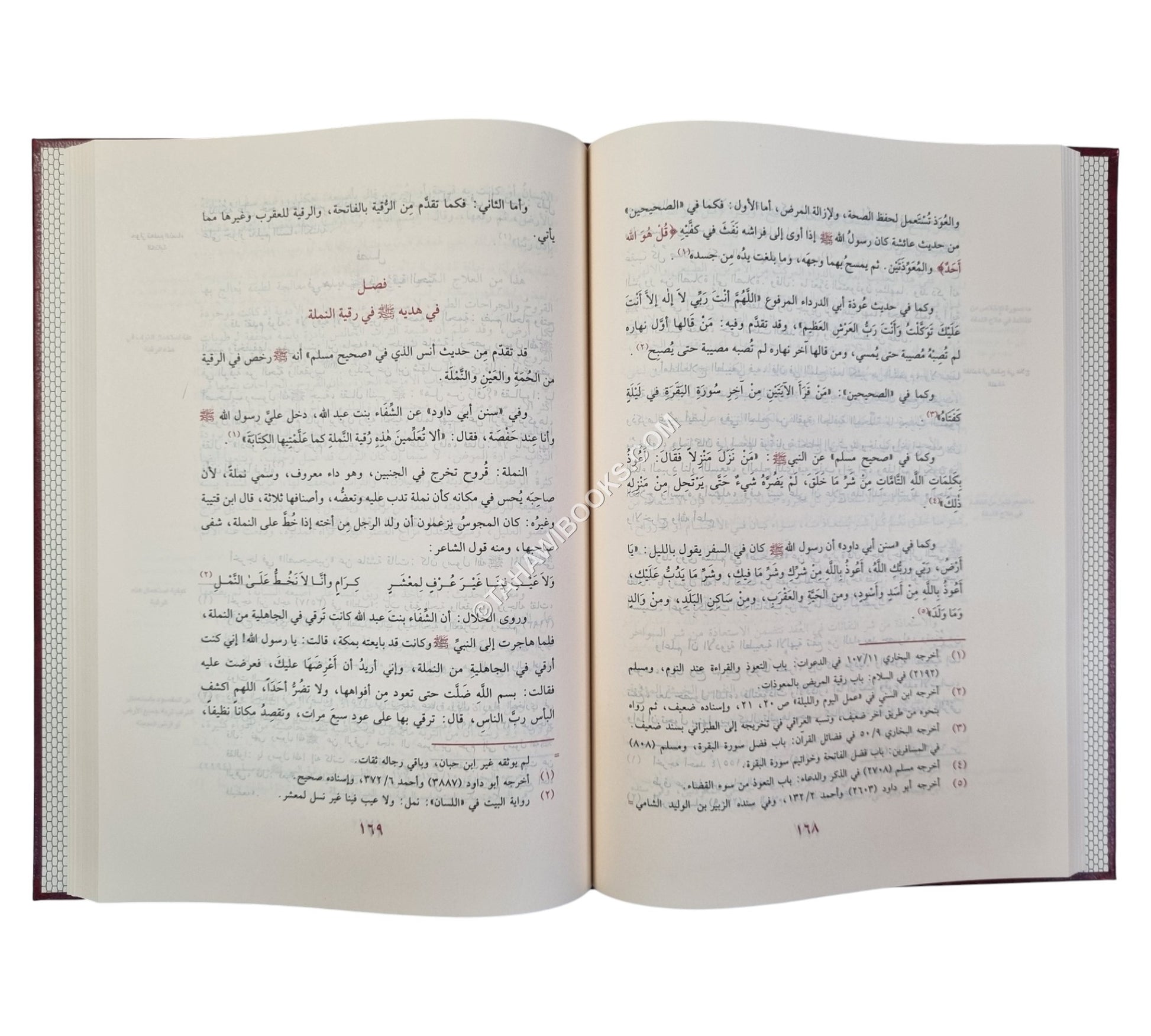 الطب النبوي-الرسالة