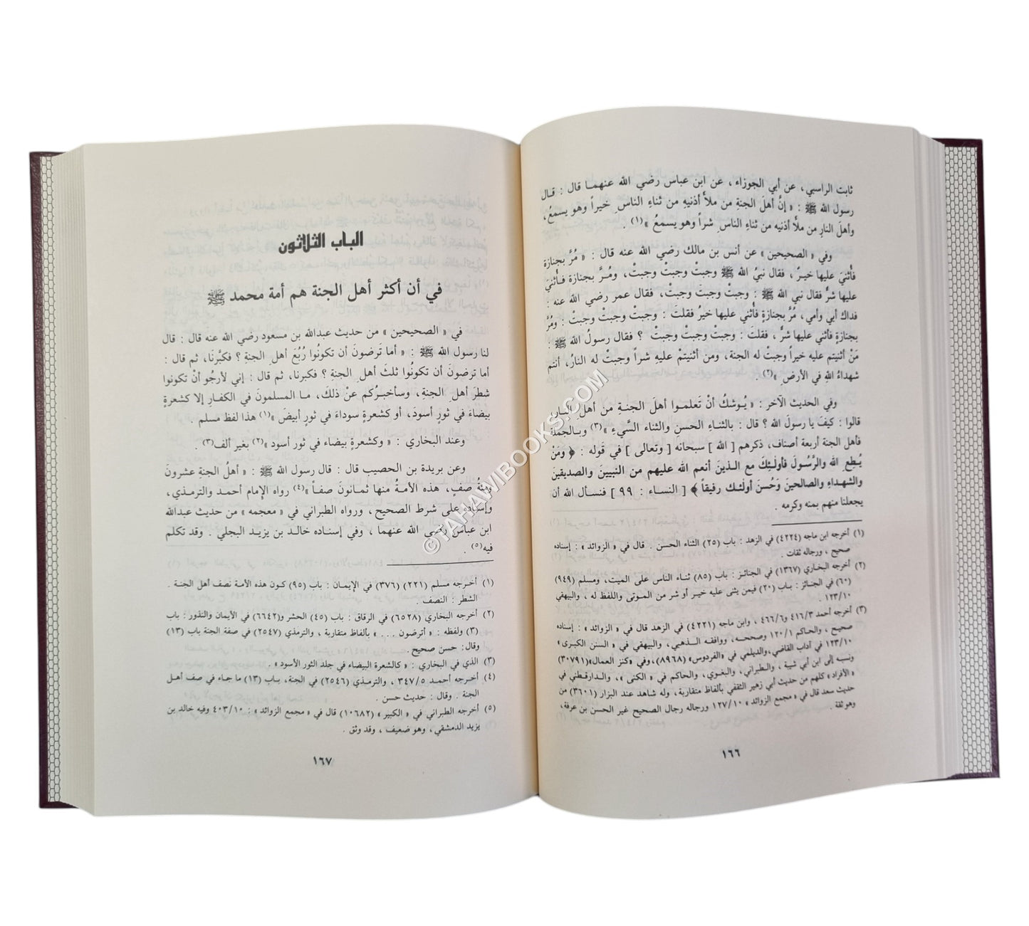 حادي الأرواح إلى بلاد الأفراح-الرسالة