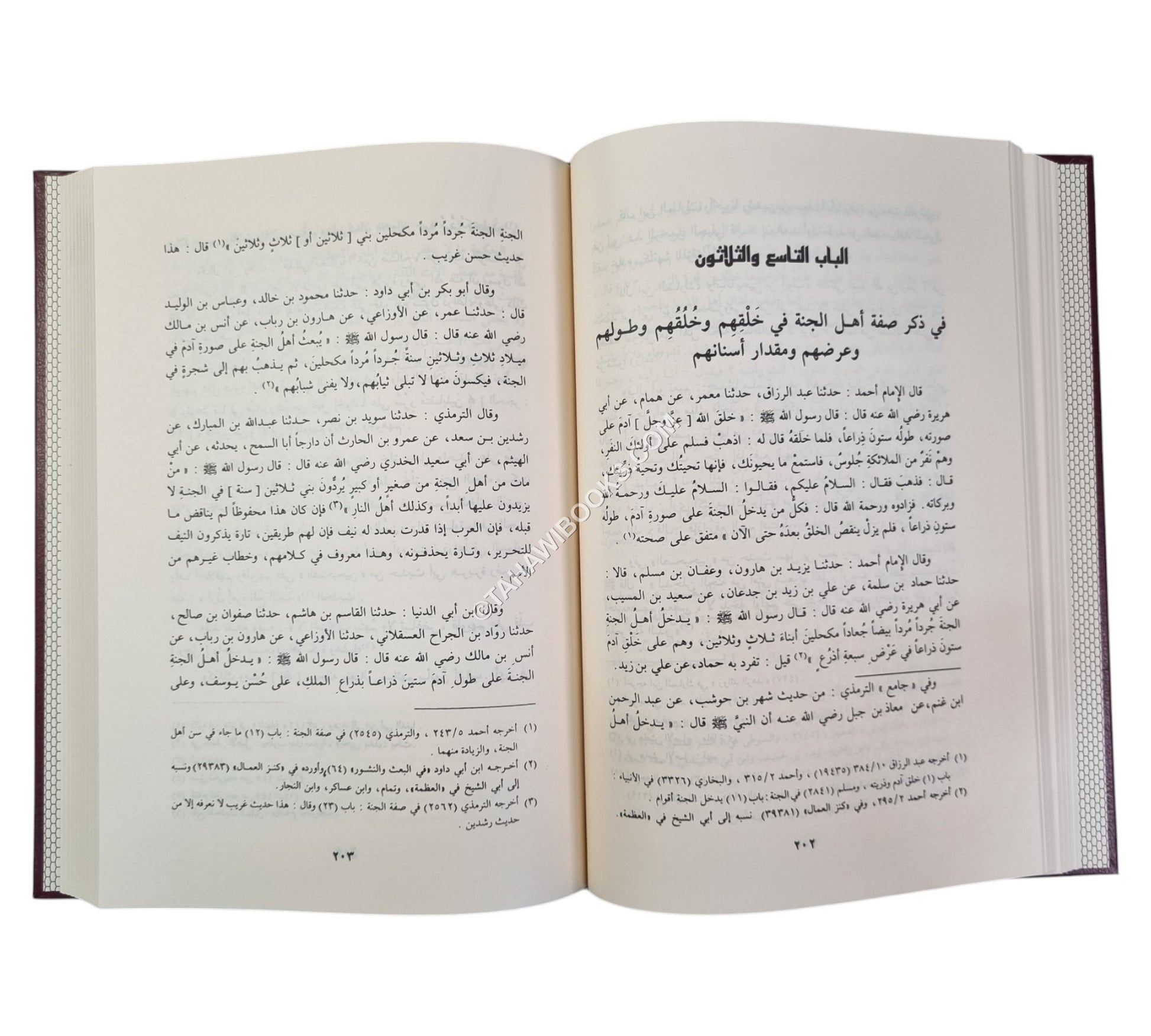 حادي الأرواح إلى بلاد الأفراح-الرسالة
