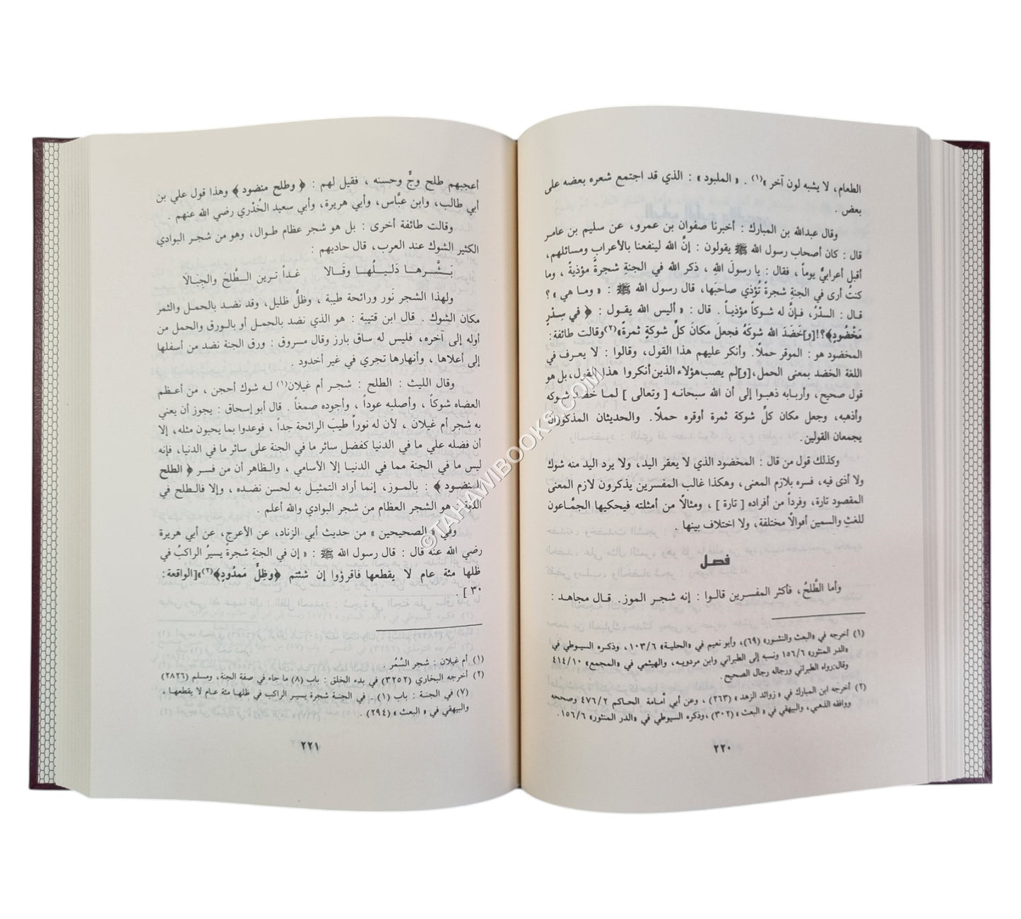 حادي الأرواح إلى بلاد الأفراح-الرسالة
