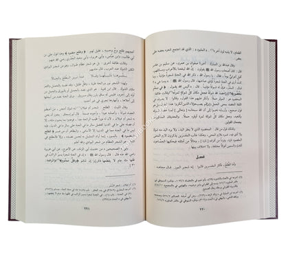 حادي الأرواح إلى بلاد الأفراح-الرسالة