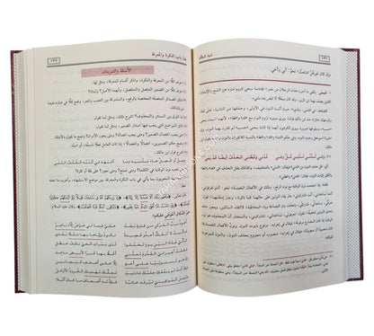 ضياء السالك الى اوضح المسالك-الرسالة