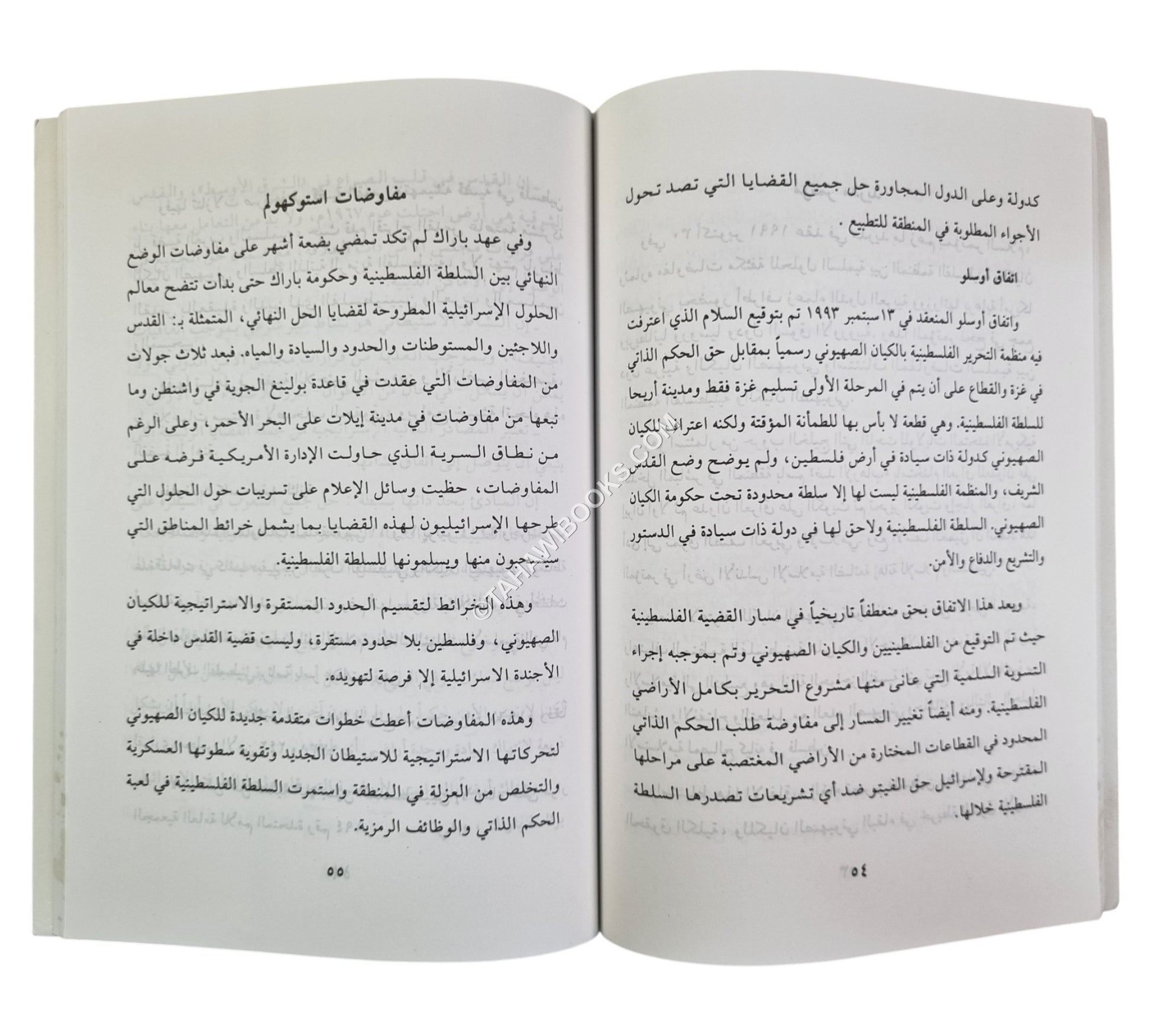 فلسطين من قطاع الطريق إلى خارطة