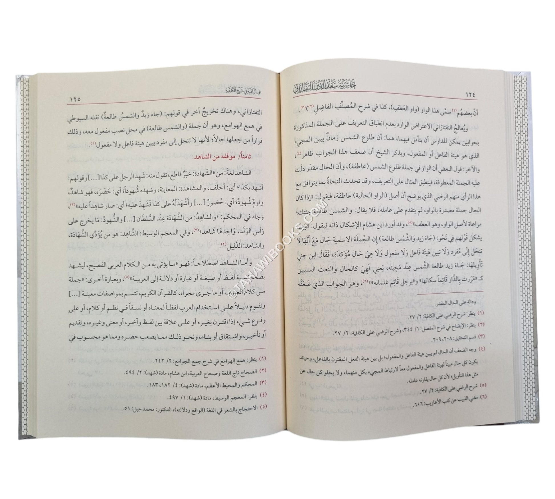 حاشية سعد الدين التفتازاني على الوافية في شرح الكافية