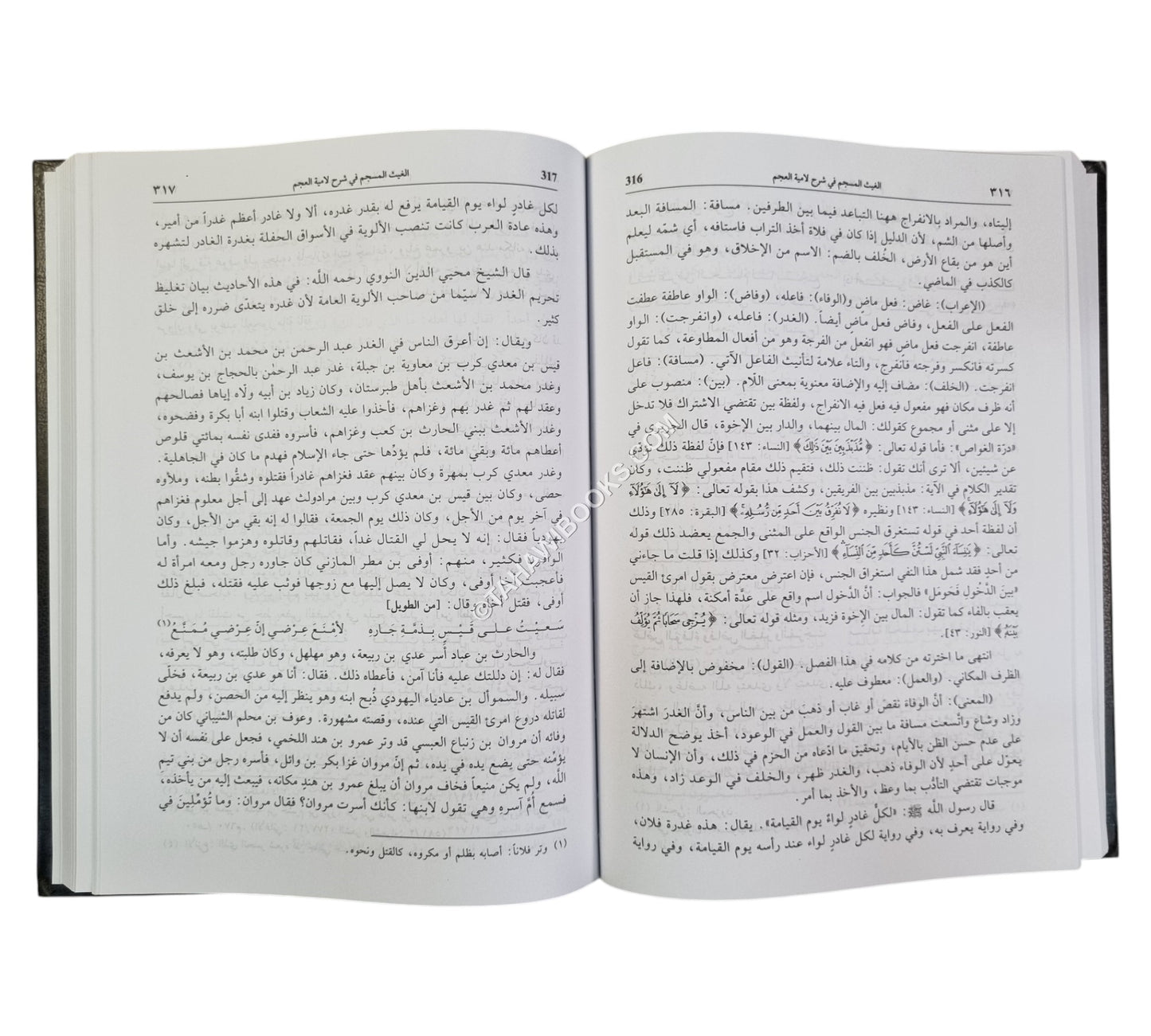 الغيث المسجم في شرح لامية العجم