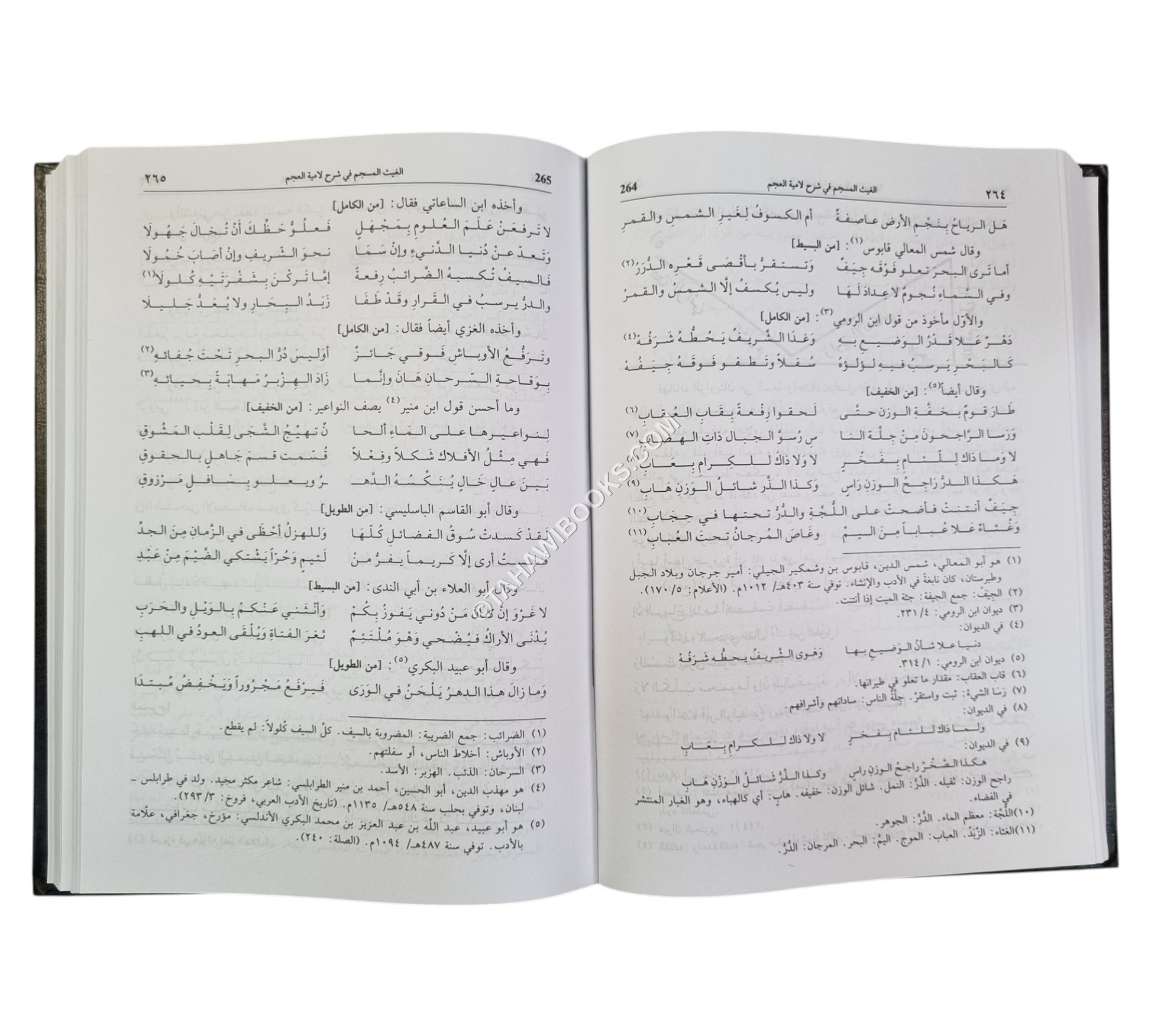 الغيث المسجم في شرح لامية العجم