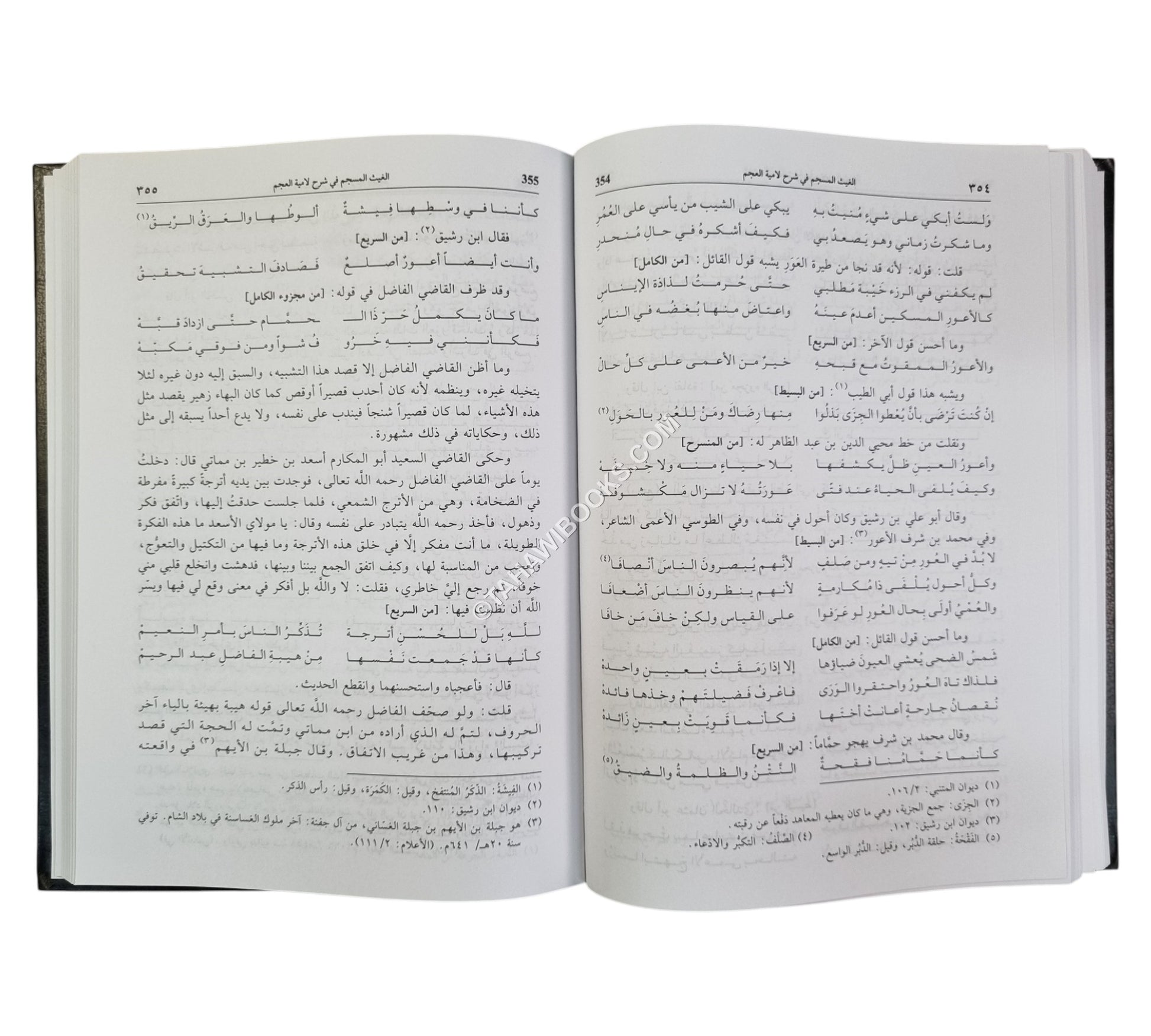 الغيث المسجم في شرح لامية العجم