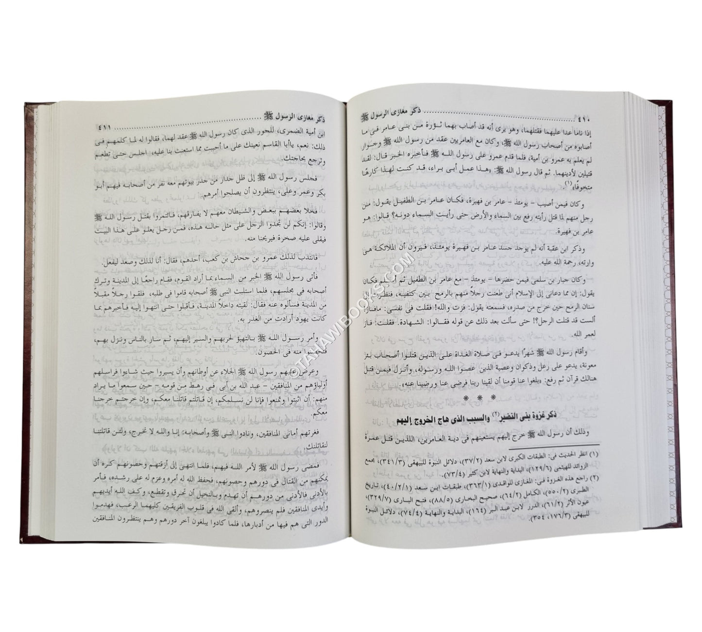 الإكتفا بما تضمنه من مغازي رسول