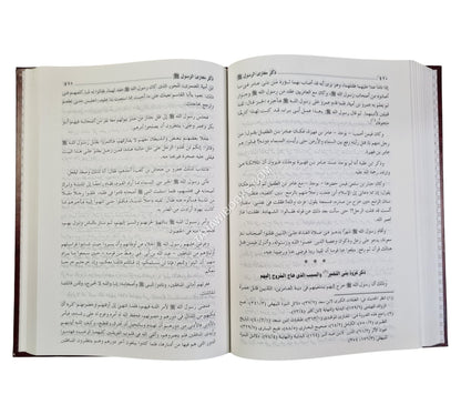 الإكتفا بما تضمنه من مغازي رسول