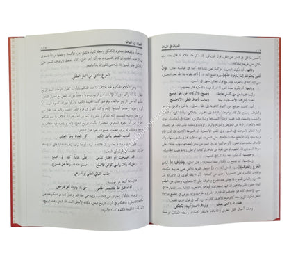 التبيان في البيان