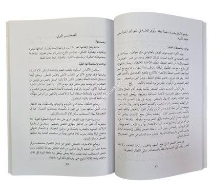 التداوي بالحبة السوداء في السنة