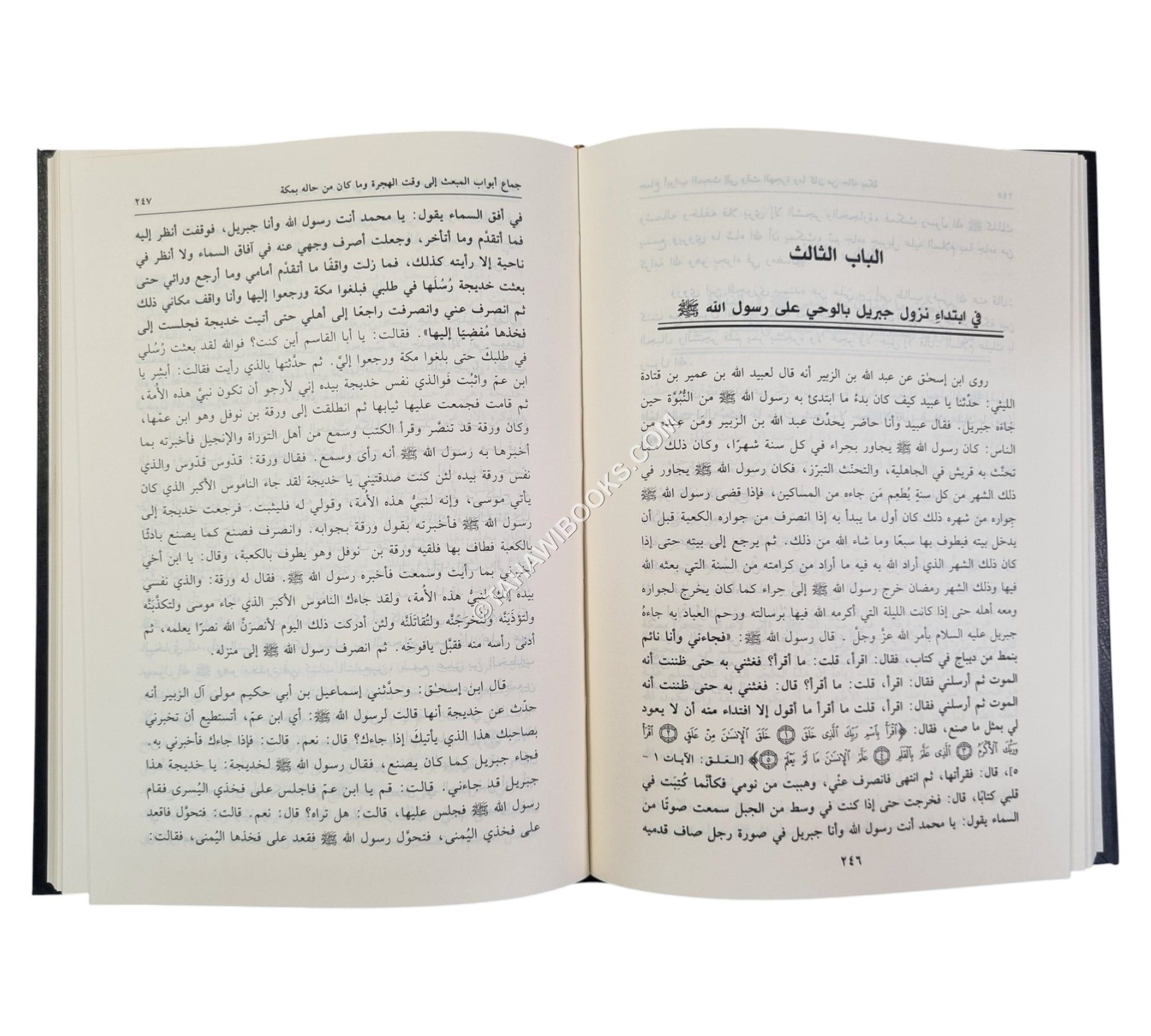 الروض والحدائق في تهذيب سيرة خير الخلائق