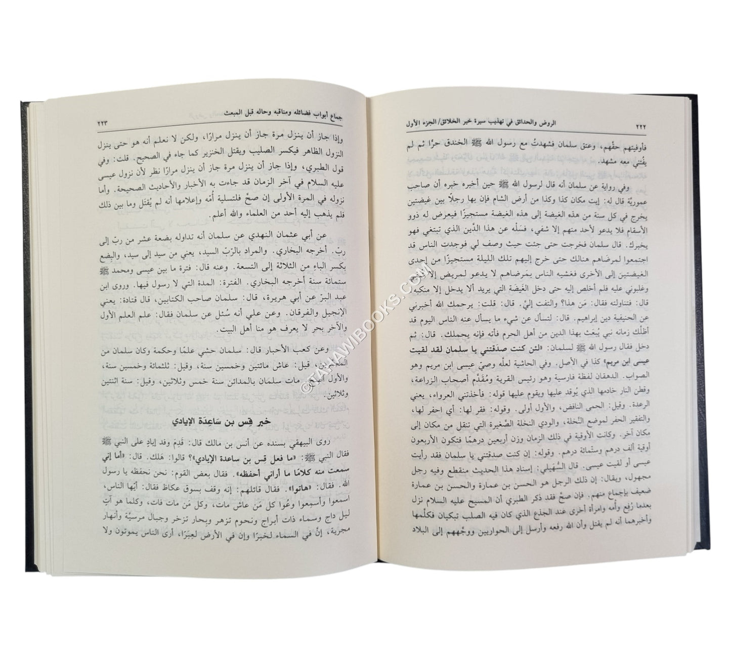 الروض والحدائق في تهذيب سيرة خير الخلائق