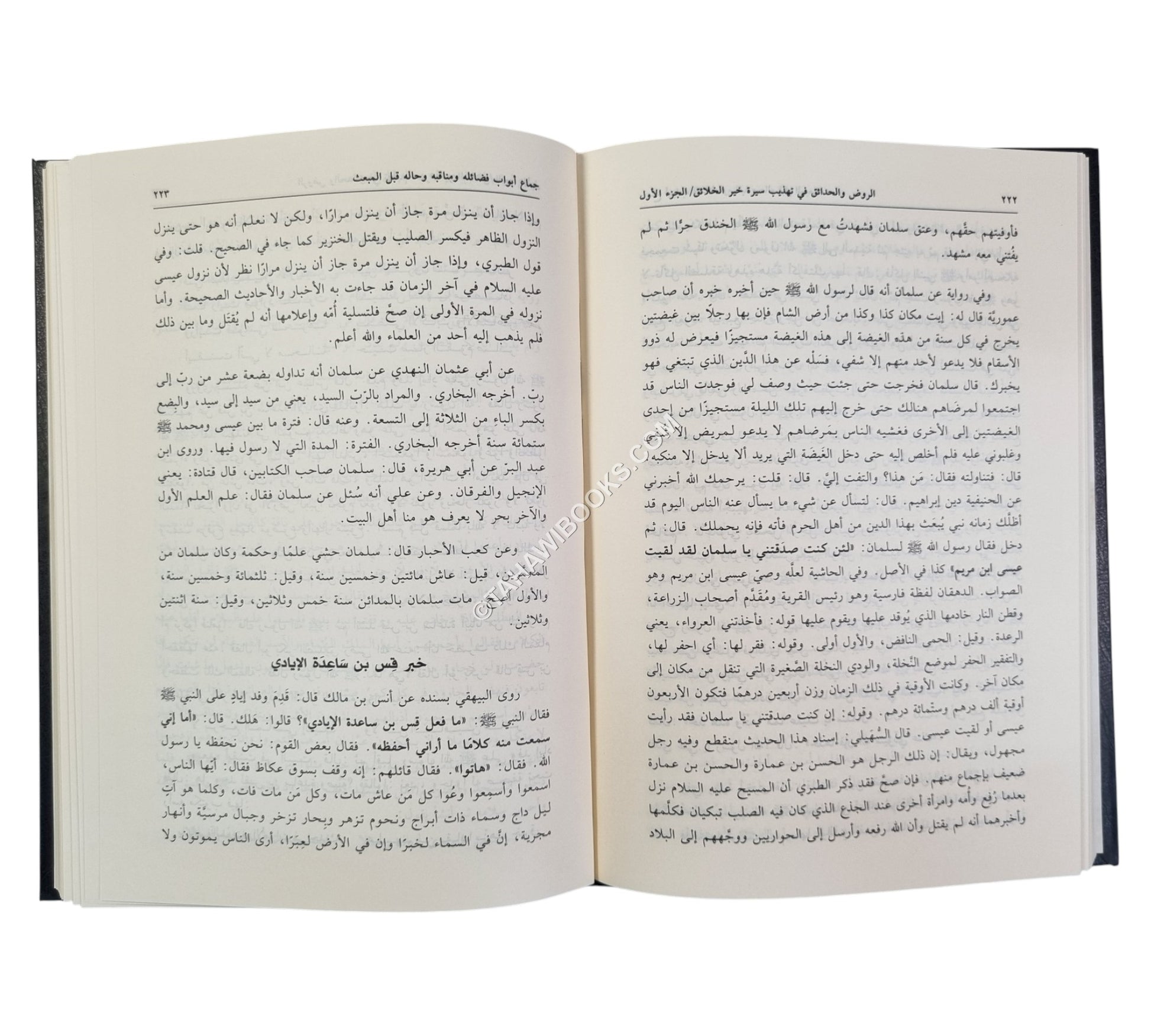 الروض والحدائق في تهذيب سيرة خير الخلائق