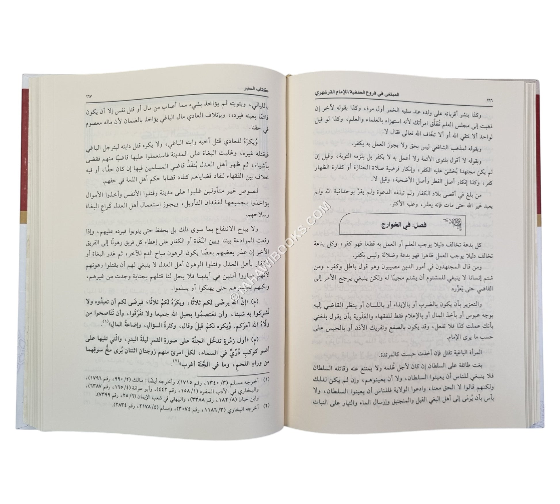 المبتغى في فروع الحنفية