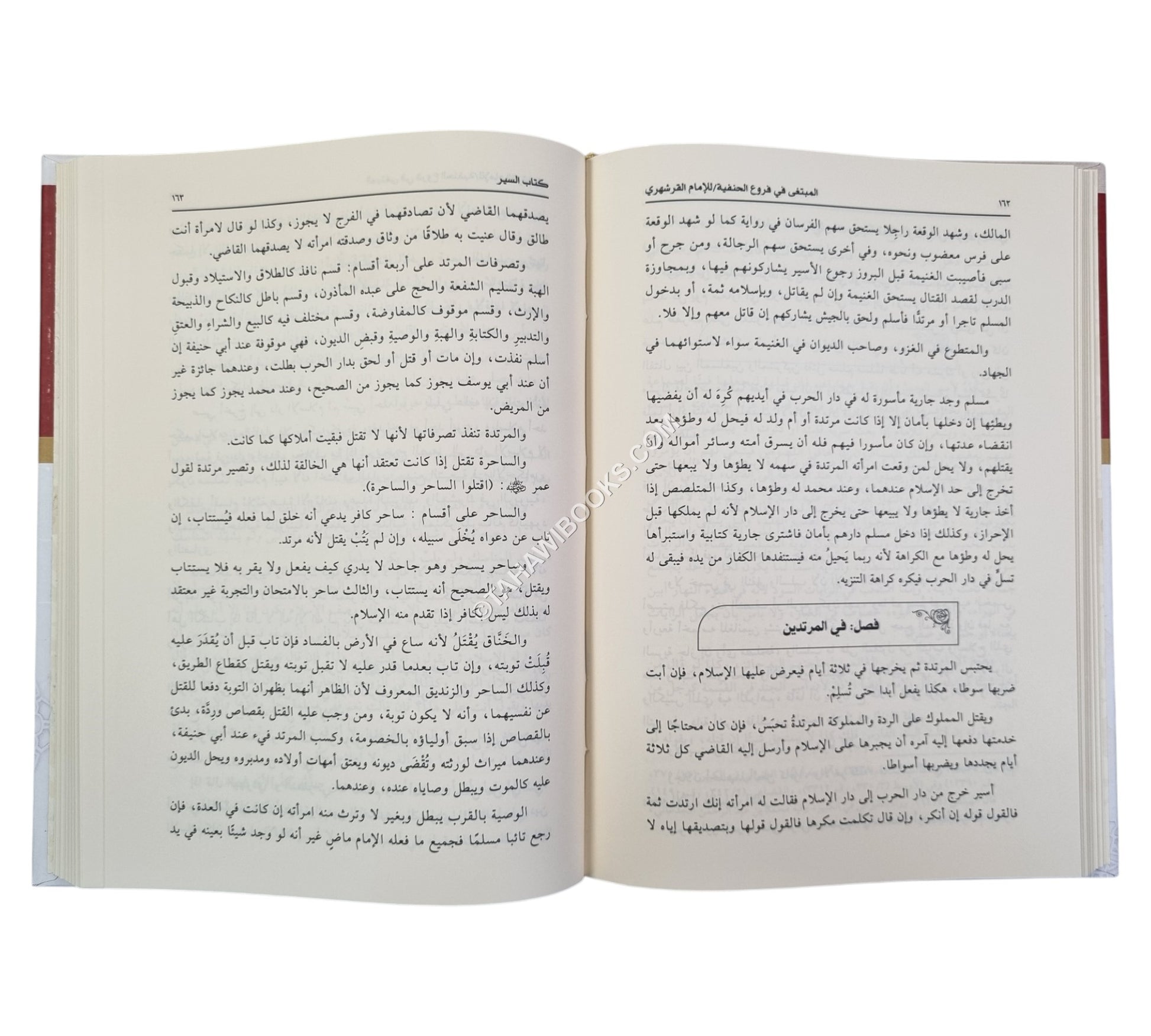 المبتغى في فروع الحنفية