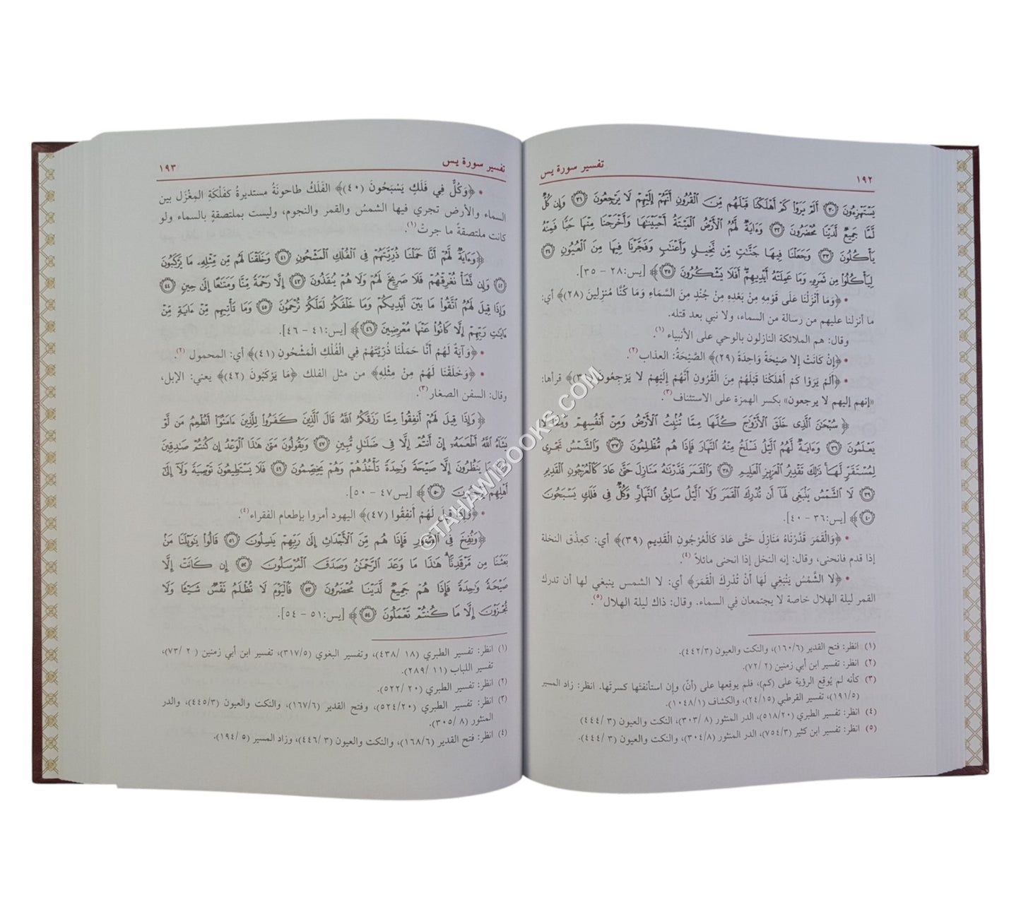 تفسير الحسن البصري