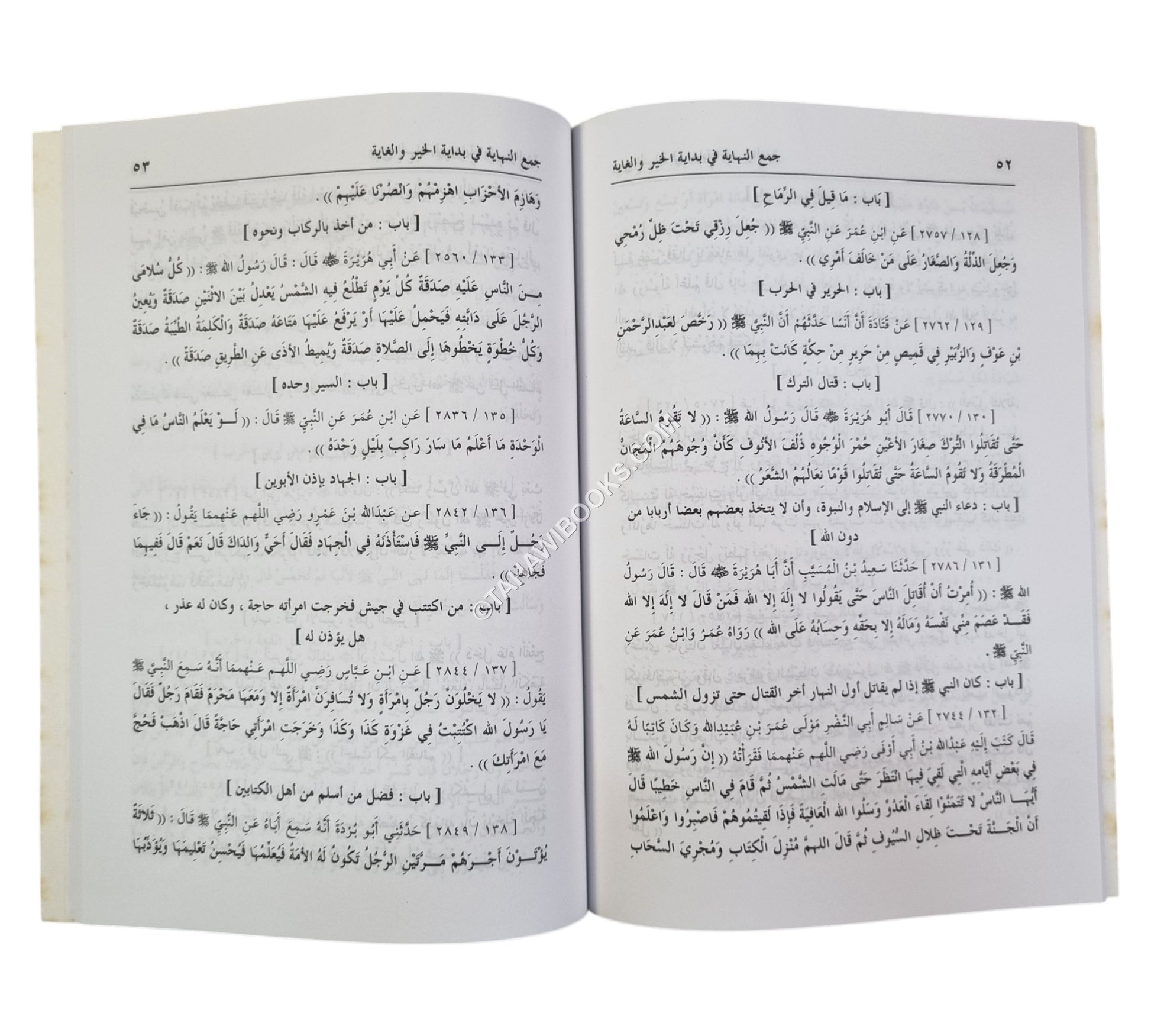 جمع النهاية في بداية الخير والغاية وهو مختصر صحيح البخاري
