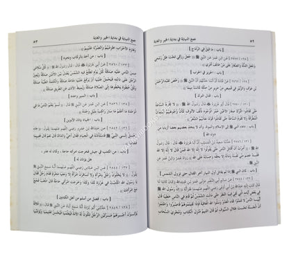 جمع النهاية في بداية الخير والغاية وهو مختصر صحيح البخاري