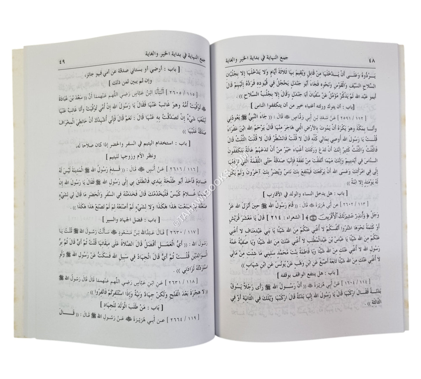 جمع النهاية في بداية الخير والغاية وهو مختصر صحيح البخاري
