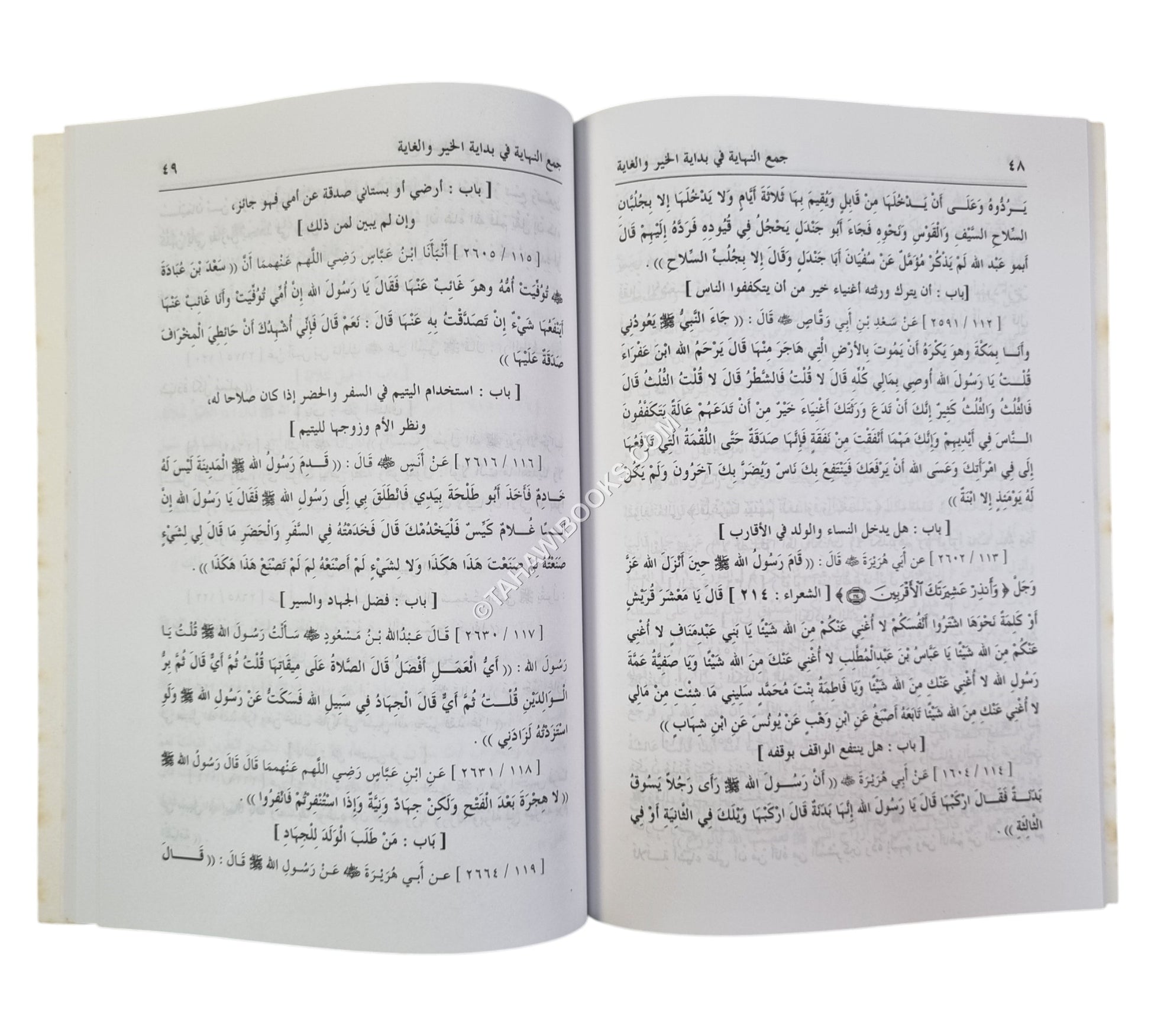 جمع النهاية في بداية الخير والغاية وهو مختصر صحيح البخاري
