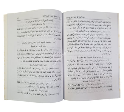 جمع النهاية في بداية الخير والغاية وهو مختصر صحيح البخاري