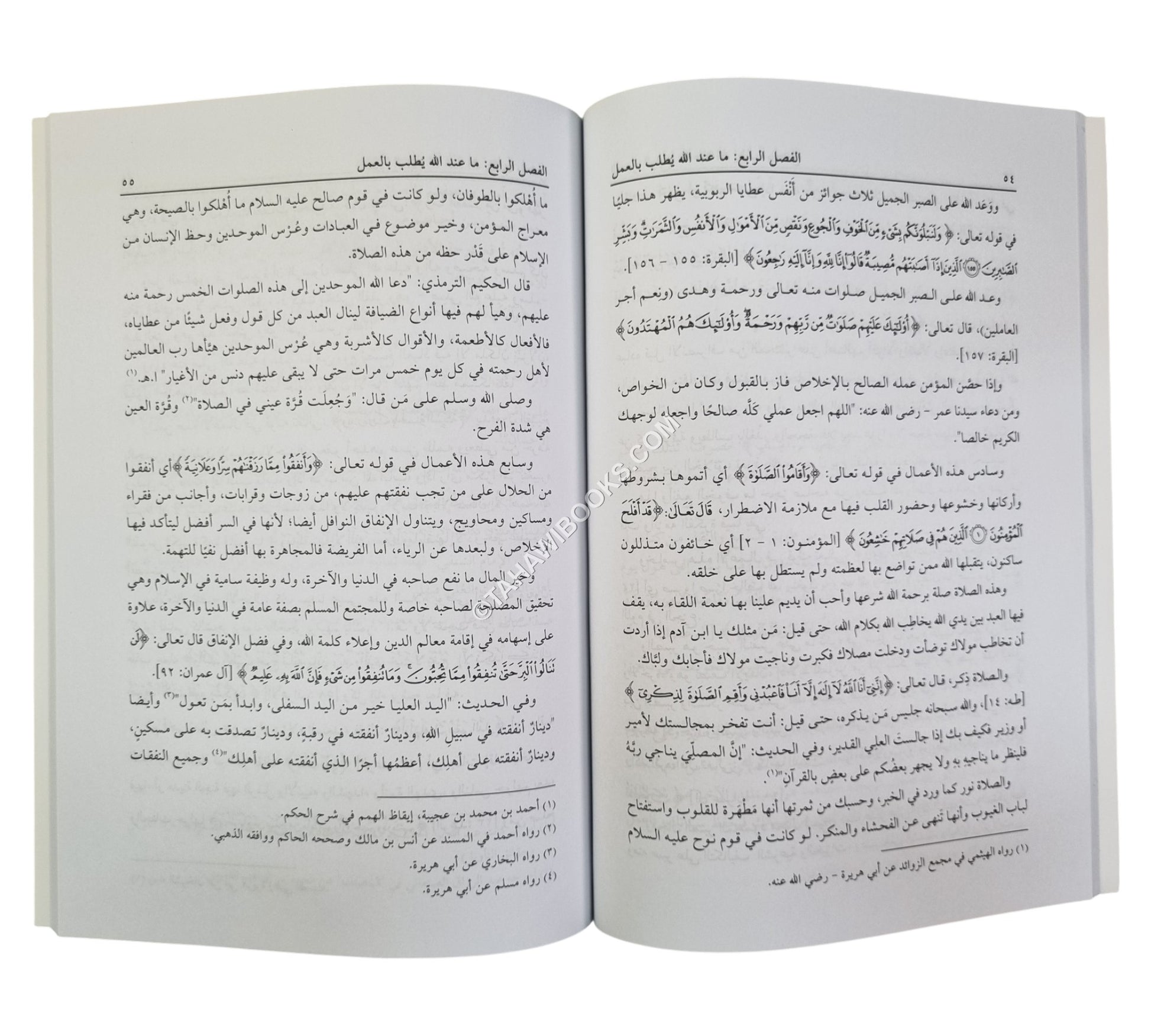 سبيل السعادة والحسنى وزيادة-كتاب يدعو إلى تهذيب القلوب ومعرفة علام الغيوب