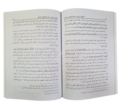 سبيل السعادة والحسنى وزيادة-كتاب يدعو إلى تهذيب القلوب ومعرفة علام الغيوب