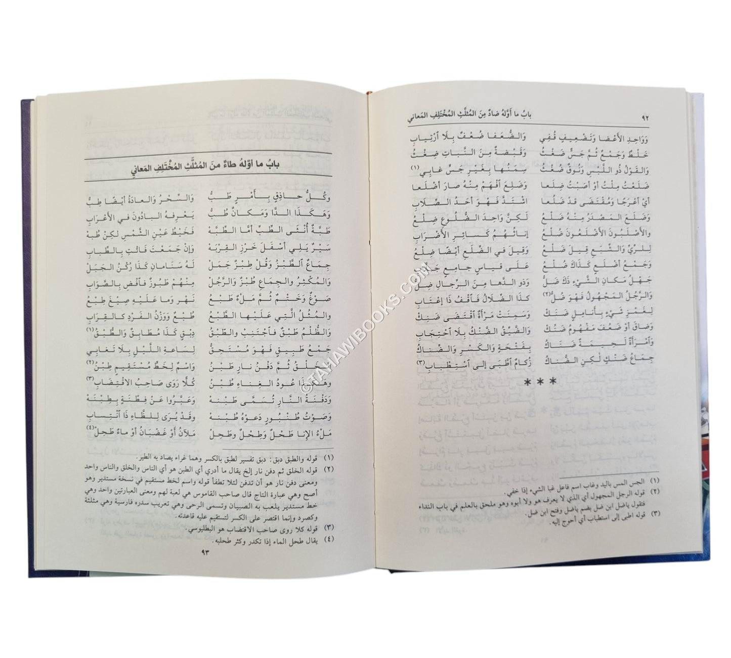شرح منظومة الإعلام بمثلث الكلام