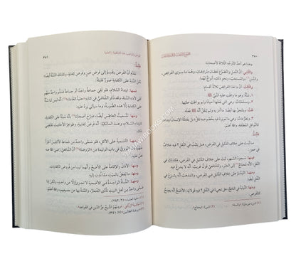 المجموع المذهب في قواعد المذهب