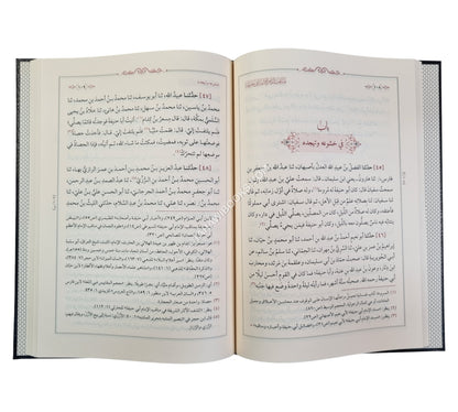 مناقب إمام الأئمة أبي حنيفة للدينوري