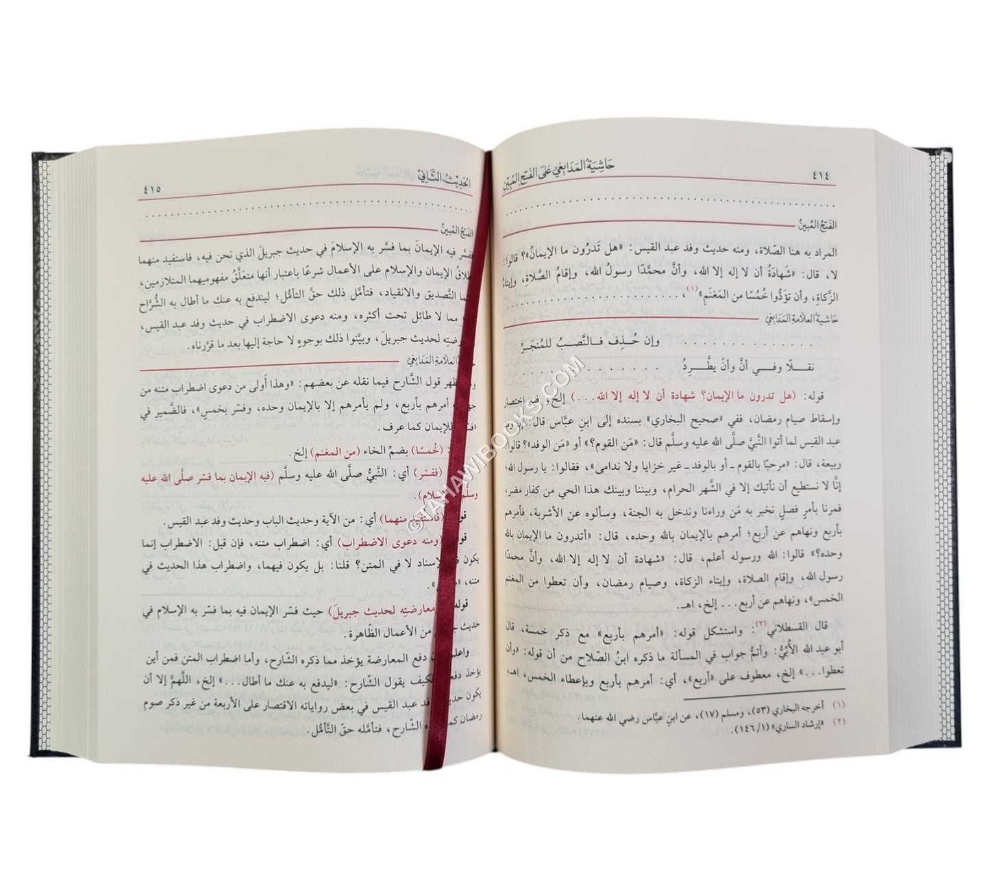 الفتح المبين بشرح الأربعين و معه حاشية المدابغي-الفيحاء