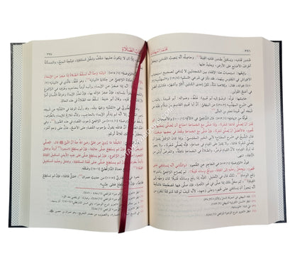 مختصر المهمات