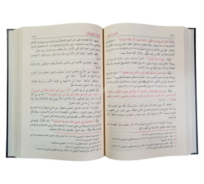 مختصر المهمات