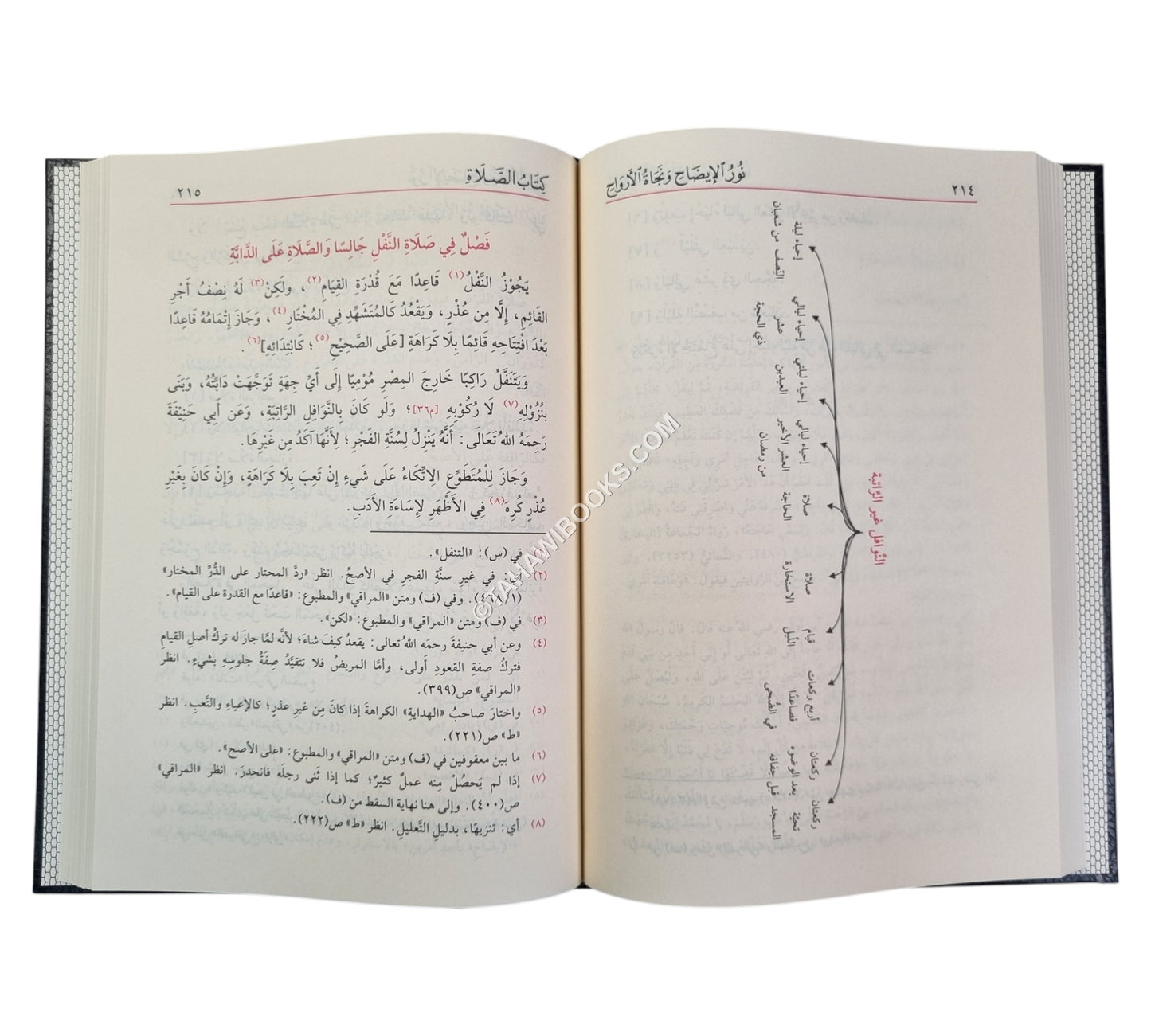 نور الإيضاح و نجاة الأرواح ويليه تذنيب نور الإيضاح-الفيحاء