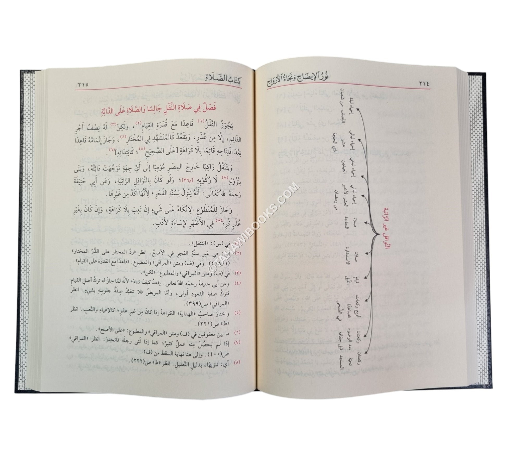 نور الإيضاح و نجاة الأرواح ويليه تذنيب نور الإيضاح-الفيحاء