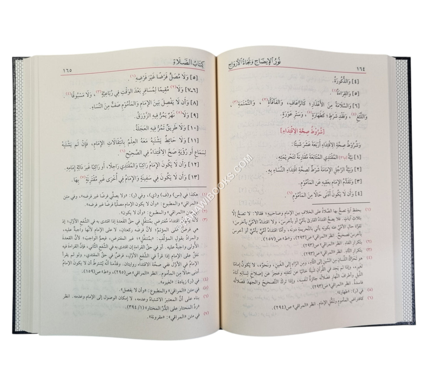 نور الإيضاح و نجاة الأرواح ويليه تذنيب نور الإيضاح-الفيحاء
