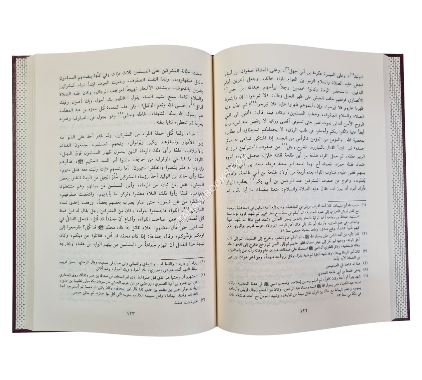 نور اليقين في سيرة سيد المرسلين-الفيحاء