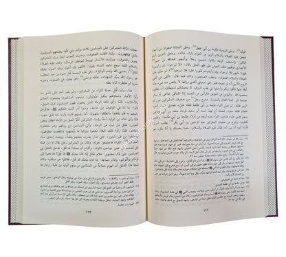 نور اليقين في سيرة سيد المرسلين-الفيحاء